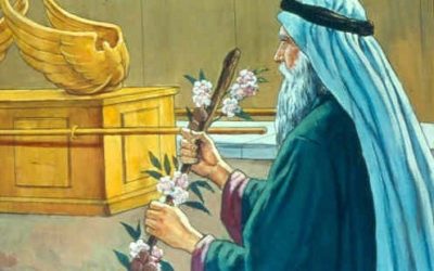 ஆரோன் எதினால் விசேஷித்தவன்?