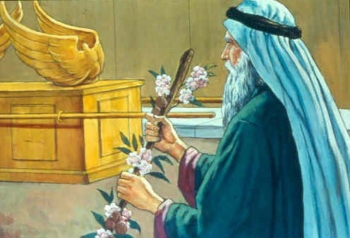 ஆரோன் எதினால் விசேஷித்தவன்?