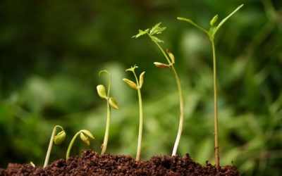 புறப்பட்டுப் போங்கள்… வளருவீர்கள்