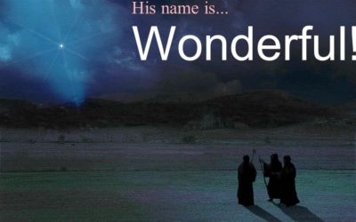 அவர் நாமம் அதிசயம் அவர் அதிசயங்களைச் செய்கிறவர்