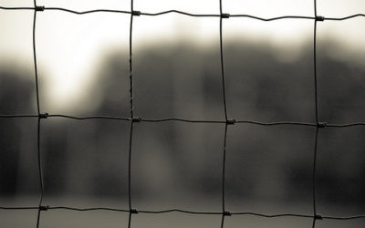 உண்மையான விசுவாசியை எவைகள் சூழ்ந்து பாதுகாக்கின்றன? (அல்லது) தேவன் ஒரு விசுவாசிக்கு கொடுத்துள்ள வேலிகள்