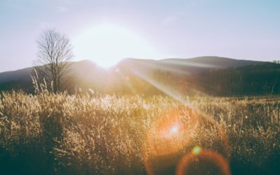 விசுவாசியே! நீ எழும்பி பிரகாசி!