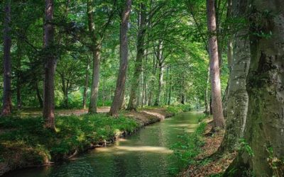 நீங்கள் பெருக வேண்டும்