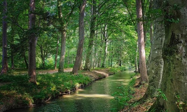 நீங்கள் பெருக வேண்டும்