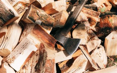 கிறிஸ்துவுக்காக எத்தனை மரம் வெட்டினீர்கள்?