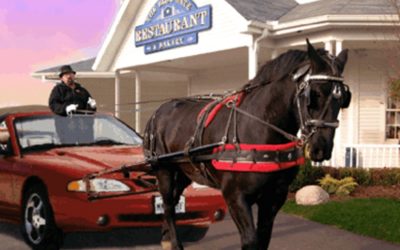 உங்கள் திறமைகளை பயன்படுத்துகிறீர்களா?