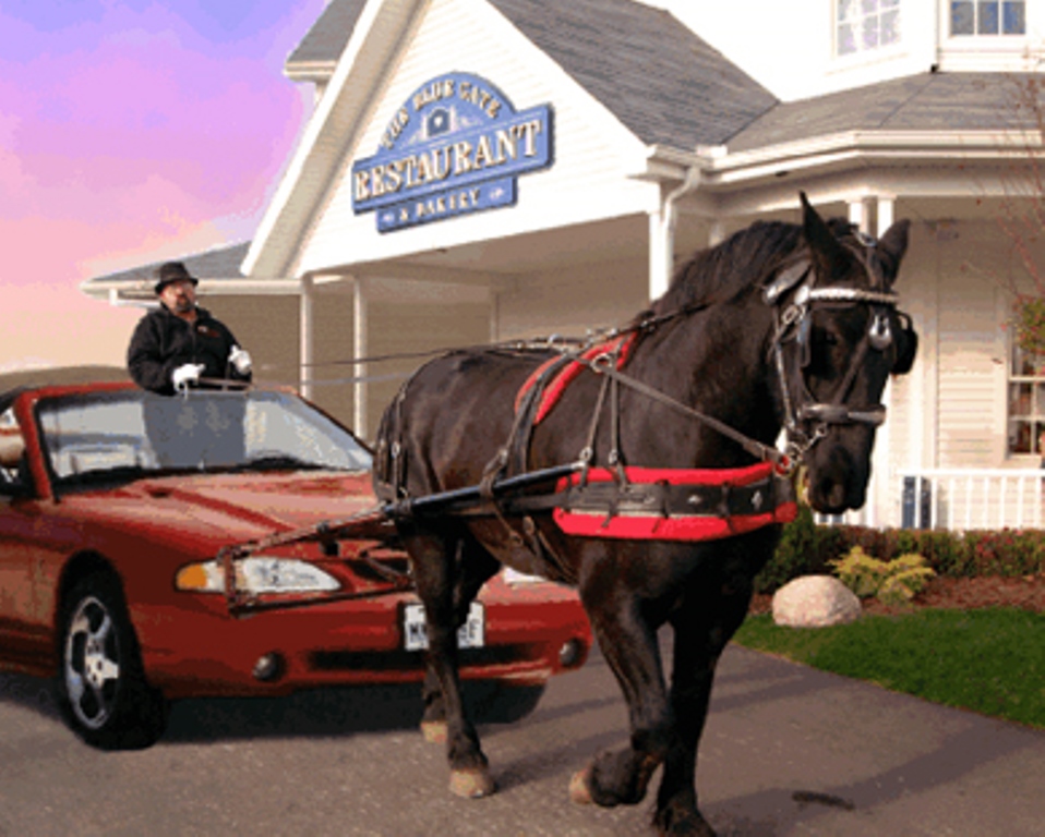 car and horse