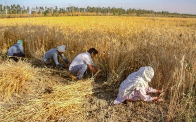 роЕро▒рпБрокрпНрокро┐ройрпИ роЪрпЗро░рпНродрпНродро┐роЯ роЕро▒рпБро╡роЯрпИропро╛ро│ро░рпИ роЕройрпБрокрпНрокрпБроорпН родрпЗро╡ройрпЗ!