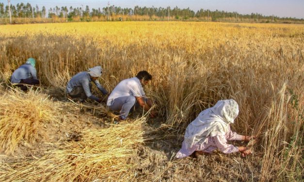 அறுப்பினை சேர்த்திட அறுவடையாளரை அனுப்பும் தேவனே!