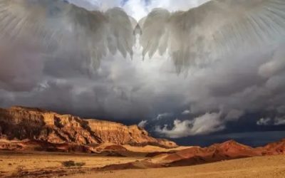 சர்வ வல்லவரின் நிழலில் தங்கு