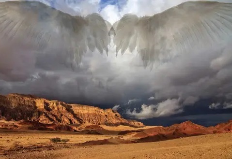 சர்வ வல்லவரின் நிழலில் தங்கு